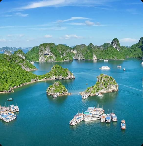 Hạ Long Cruises – Khám Phá Vịnh Di Sản Theo Cách Trọn Vẹn Nhất