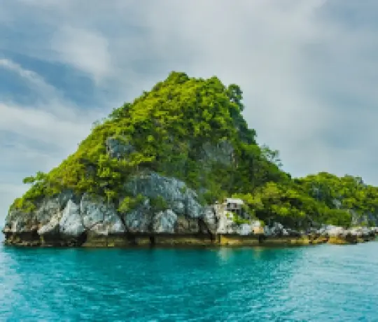 Combo Paradise Day Cruise + khách sạn Đà Nẵng