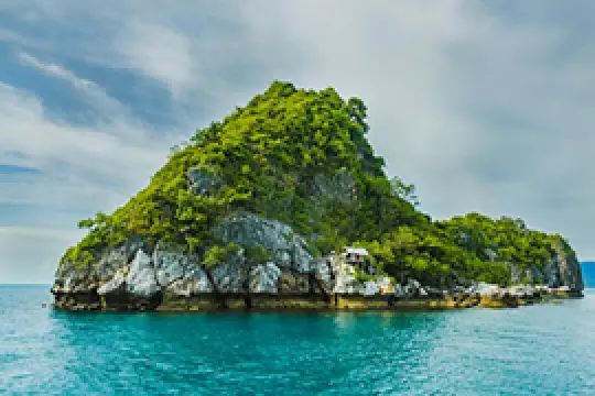 Ambassador Signature Cruise