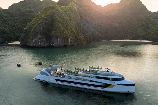 Dolphin Halong Cruise - Day Cruise
